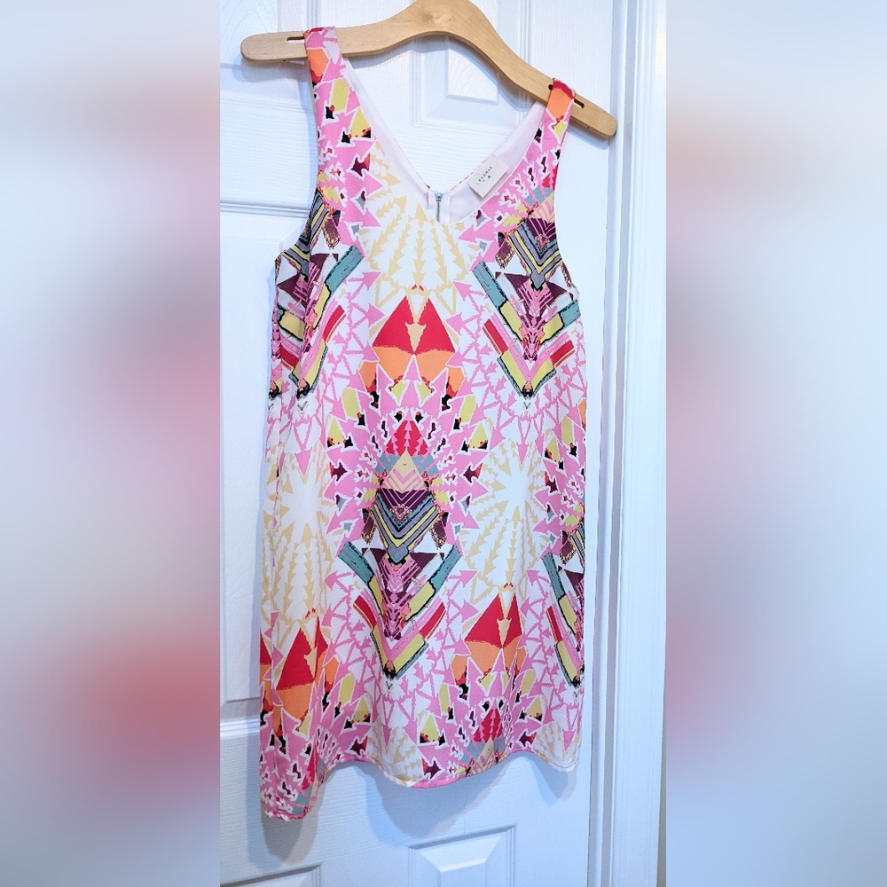 Pretty in Pink Shift Dress. Size Small.